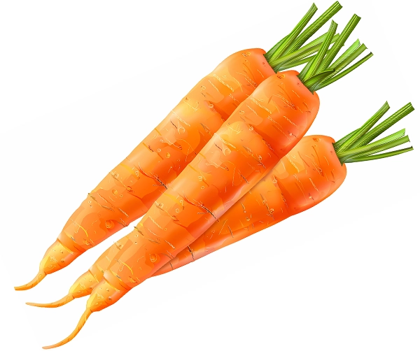 Carrots