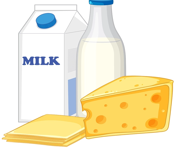 Dairy Department
